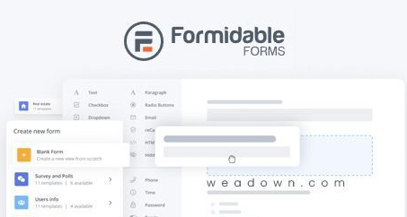 Formidable Forms Pro v6.1
