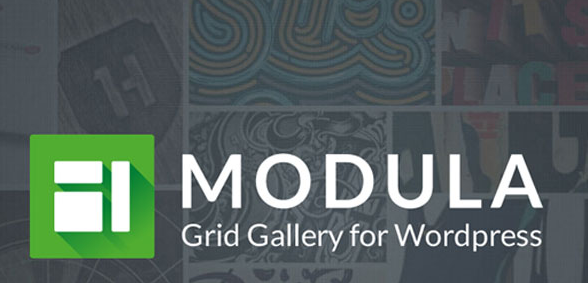 Modula Pro v2.10.12 - Best WordPress Image Gallery